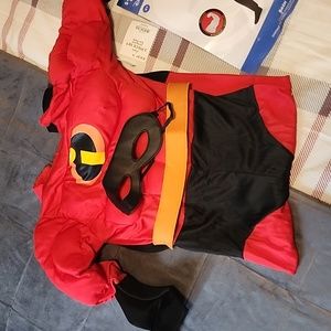 New Incredibles costume